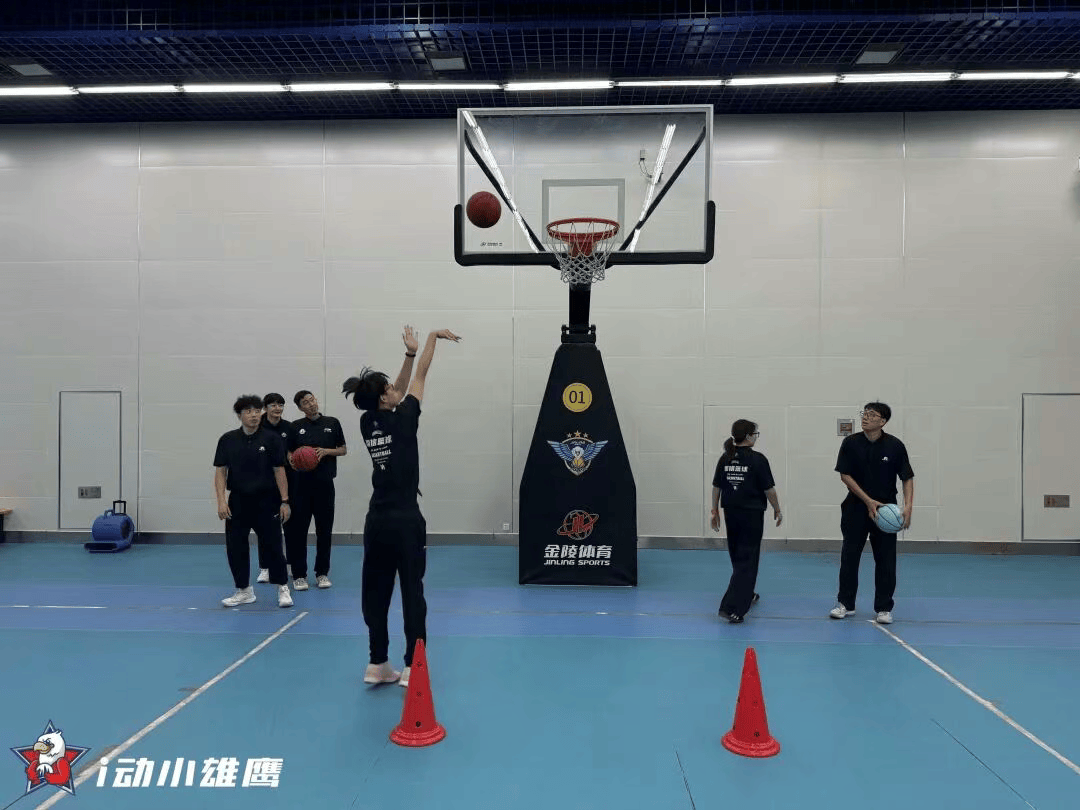 msn, 科学性训练 msn, 科学性训练