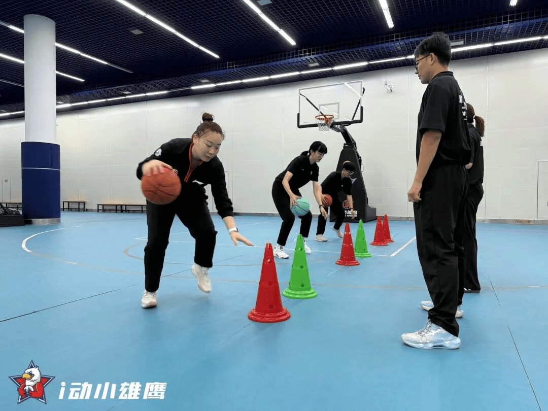 青岛男篮官 青岛男篮官